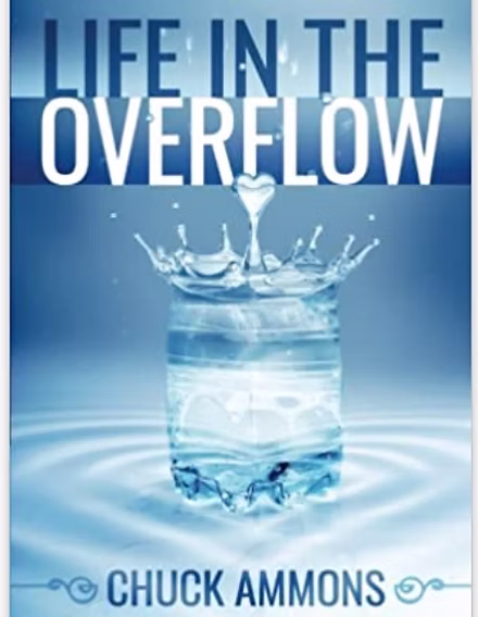 Cover of Life in the Overflow by Chuck Ammons
